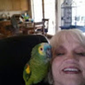 Meet your Posher, Pam